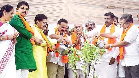 Newly-elected BJP MPs water saplings at the felicitation function organised at the Palace Grounds in Bengaluru on Wednesday | pandarinath B