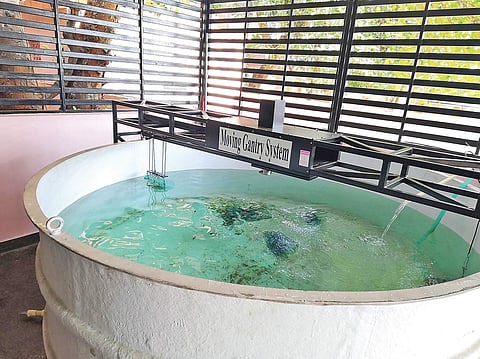 The Moving Gantry System at CIFT