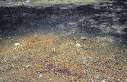 The land near the Metro station where the boy fell | Nigamanth P