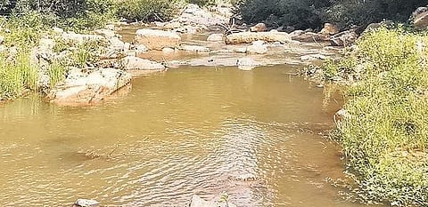Great heaps of mud, extracted for Yettinahole water diversion project, now form the boundary of Ramesh's field on the slopes of his coffee plantation.