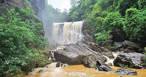 Sathodi waterfalls near Yallapur in Uttara Kannada district in its full glory after the recent rain