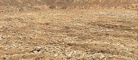 500-year-old Selaiyur tank desilted, to get a facelift