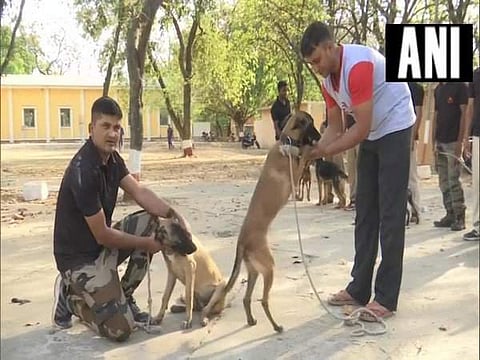 The latest step of transferring the dog-squad has drawn scathing criticism from rival BJP which is using the opportunity to attack the government. (Photo | ANI Twitter)