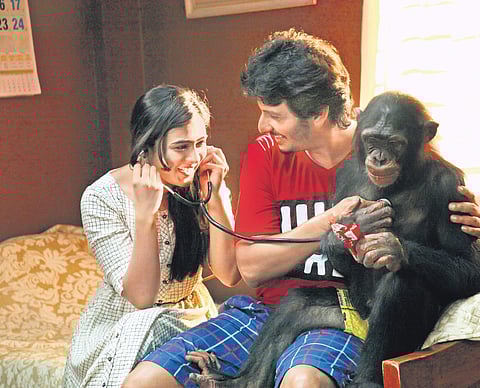 A still from Gorilla