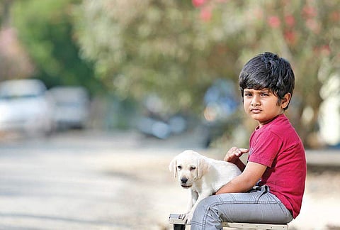 A still from the kannada film 'Bow Bow'