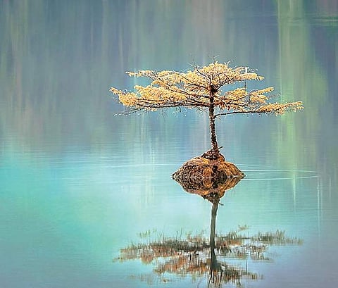 Eternal flame of wisdom