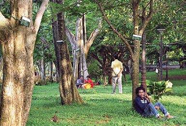 Subhash Park to get a pollinator garden