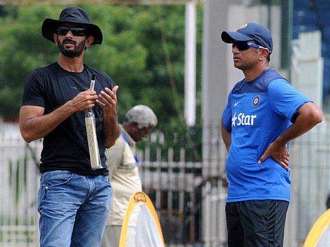 Vikram Rathour and Rahul Dravid (Twitter)