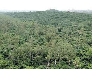 Karnataka to seek more time for claims rejected under FRA