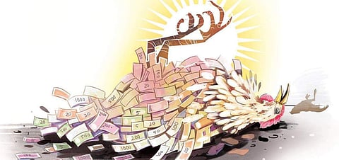 Chicken prices plummet, traders in a soup