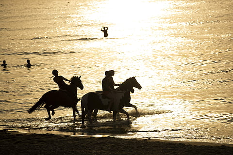 A dangerous heatwave scorched Western Europe on Wednesday July 25 as most parts of the continent recorded soaring high temperatures. ( Photo | AP )