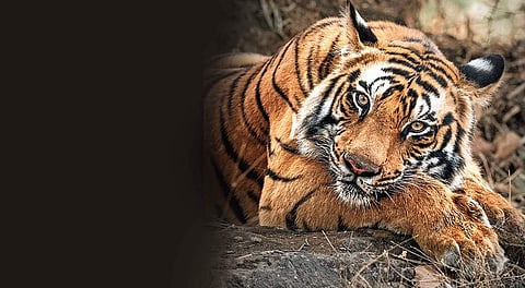 Raj Bhera (File Photo |EPS)