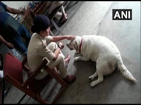 Madhya Pradesh police takes care of the dog whose owners were sent to jail in a murder case. (Photo | ANI)