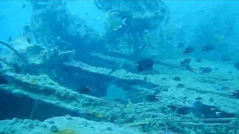 Netrani Island, located about 18 km off Murdeshwar coast, is rich in marine flora and fauna with a big coral reef. (Photo | EPS)
