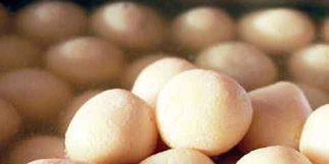 Picture for representational purpose (File Photo |EPS)