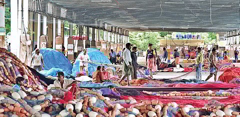 Fishers mend their nets with the 52-day trawl ban coming to an end. (Photo | EPS)