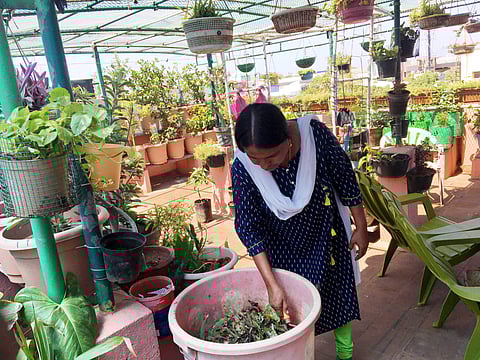 Pauline composts biowaste on a 'Khamba' composting pot. (Photo | EPS)