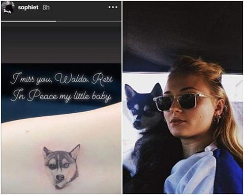 Sophie Turner and her husband Joe Jonas got a tattoo in memory of their pet dog, named Waldo Picasso, who died recently after a car accident. (Photo | Sophie Turner Instagram)