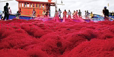 Fishermen preparing nets for big catch at Thoppumpaddy Harbour. With  trawling ban coming to an end on Wednesday midnight, boats and trawlers are readying to venture into the sea. (Photo | Albin Mathew, EPS)