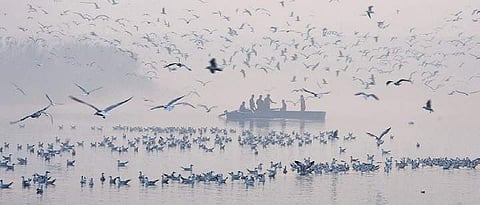 Experts feel it is imperative for the government to first clean the much-polluted Yamuna before going for such a tourism plan (File Photo |EPS)