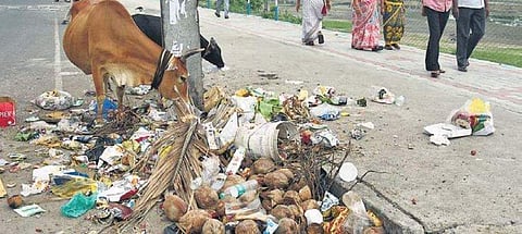 Madipakkam lake was cleaned up by activists in 2018  Ashwin Prasath
