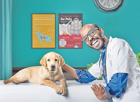 A still from 777 Charlie