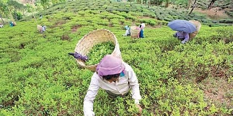 For representational purposes