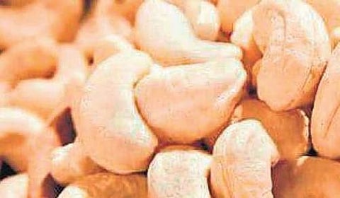 Cashew sector upbeat over duty hike of kernels