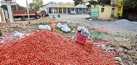 Odisha Government plans to incentivise farmers growing tomatoes, potatoes, onions. (Photo: R Satish Babu | Express Photo Service)