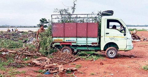 After garbage, green debris dumped on Mahanadi bed 