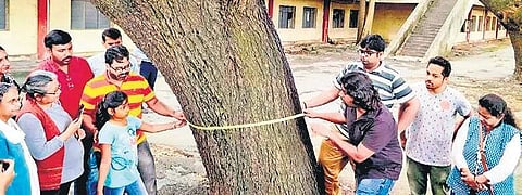 Bengaluru civic body not equipped for tree survey this year