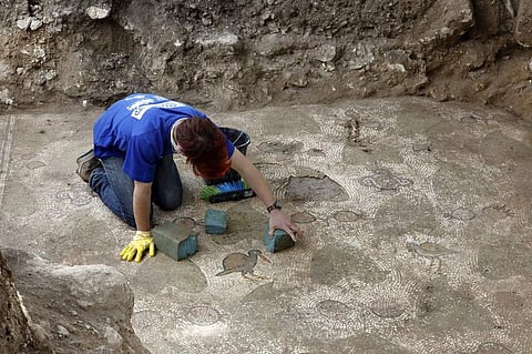 An Israel Antiquities Authority volunteer uncovers a mosaic floor, part of the remains of a 1,500-year-old (Byzantine Period) monastery and church, discovered in the southern hills of Israeli city of Beit Shemesh in December 2017. (Photo | AFP)