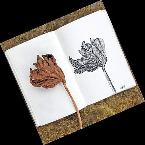 A stress-buster, the art of tangling helps reduce stress, anger as you let your mind draw structures freely.