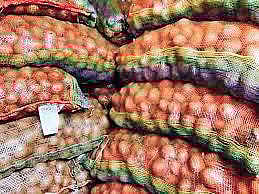 For representational purposes