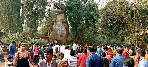 Visitors throng Nandankanan Zoological Park | Express
