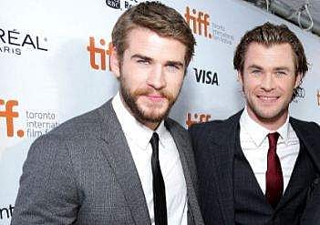 Liam and Chris Hemsworth (Photo | Instagram)