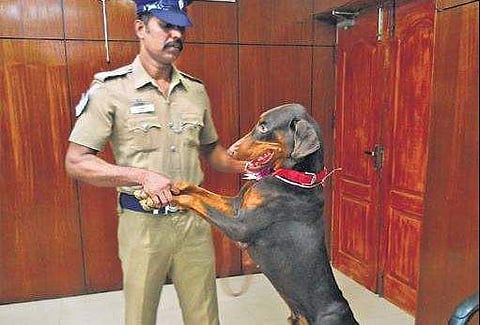 Police dog Rocky with his handler Selvakumar in Villupuram | Express