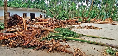 Sand and tree logs deposited after flood fury on agricultural land and around a house at Sarpahitil in Charmadi in Dakshina Kannada.  | (Shreyas HS | EPS)
