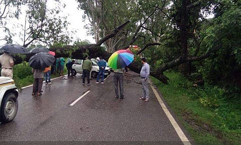 Himachal Pradesh​ sees heavy rains, rivers in spate