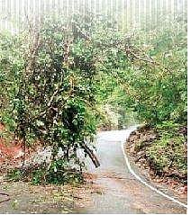 Heavy vehicles banned on Agumbe Ghat road