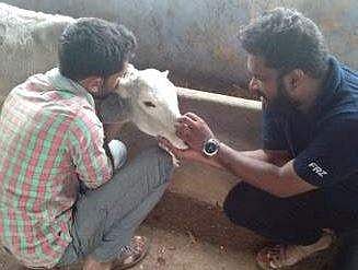 NGOs, animal lovers do their bit for flood-hit areas in Karnataka