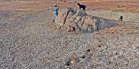 Reservoirs and Lakes in Chennai have gone dry (File Photo |EPS)