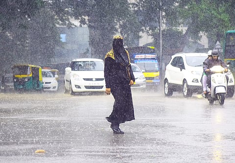 Image for representational purpose only. ( Photo | Pandarinath B, EPS)