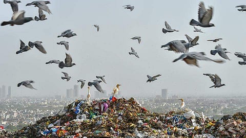 Bandhwari landfill. (Photo|PTI)