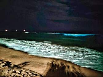 The bioluminescence witnessed on the coast of Chennai. | Express Photo Service