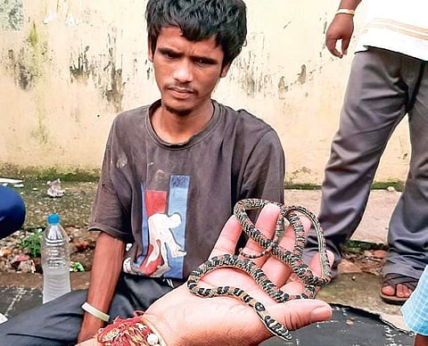 Snake exhibitor Raju Mahato who was caught with ornate flying snake (Photo |EPS)