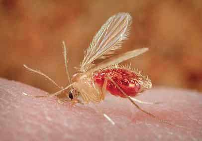 For representational purposes