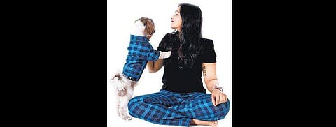 Time to suit-up your furry mates