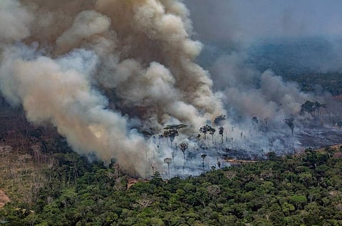 Handout aerial released by Greenpeace showing smoke billowing from forest fires in the municipality of Candeias do Jamari, close to Porto Velho in Rondonia State, in the Amazon basin in northwestern Brazil. (Photo | AFP)
