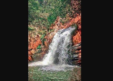 Debjharan waterfall in Sambalpur (Photo |EPS)